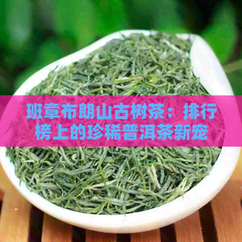 班章布朗山古树茶：排行榜上的珍稀普洱茶新宠