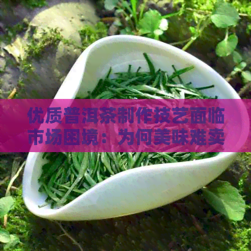 优质普洱茶制作技艺面临市场困境：为何美味难卖？