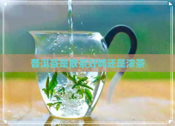 普洱茶是散茶好吗还是浓茶