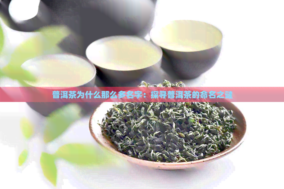 普洱茶为什么那么多名字：探寻普洱茶的命名之谜