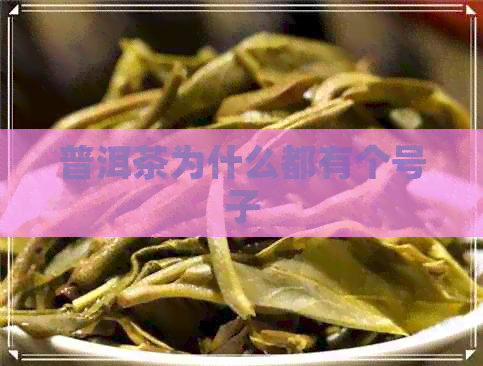 普洱茶为什么都有个号子