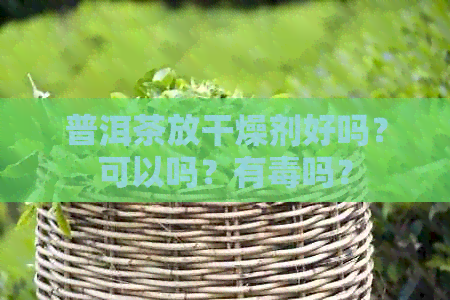 普洱茶放干燥剂好吗？可以吗？有吗？