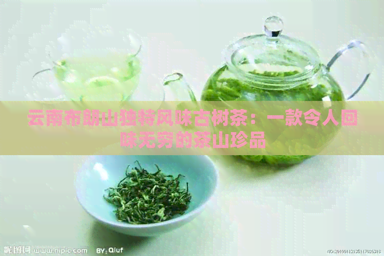 云南布朗山独特风味古树茶：一款令人回味无穷的茶山珍品