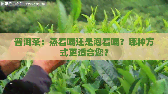 普洱茶：蒸着喝还是泡着喝？哪种方式更适合您？