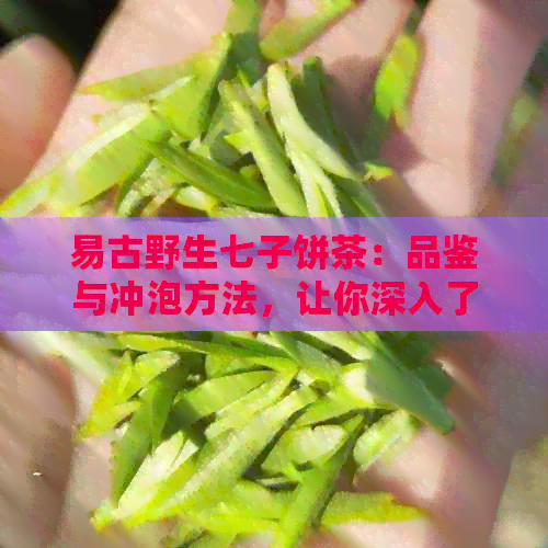 易古野生七子饼茶：品鉴与冲泡方法，让你深入了解这款特色茶的魅力