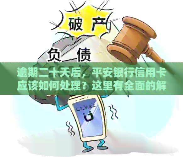 逾期二十天后，平安银行信用卡应该如何处理？这里有全面的解决方案！