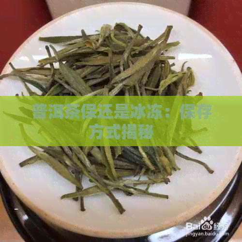 普洱茶保还是冰冻：保存方式揭秘