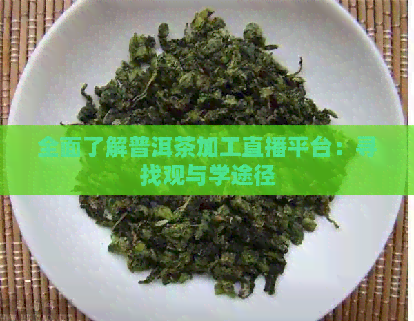 全面了解普洱茶加工直播平台：寻找观与学途径