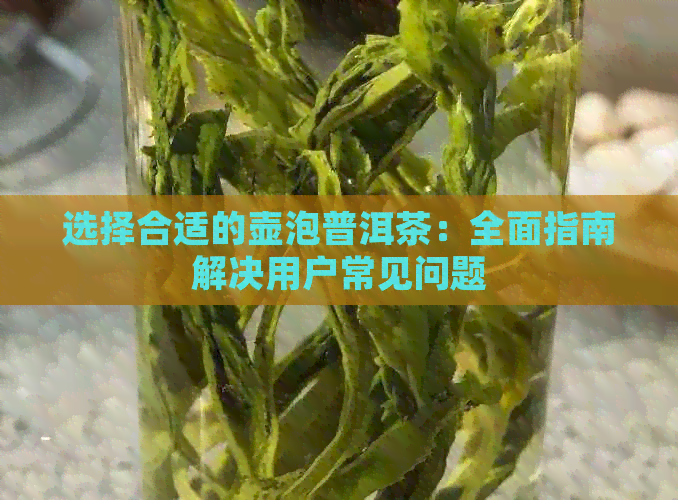 选择合适的壶泡普洱茶：全面指南解决用户常见问题