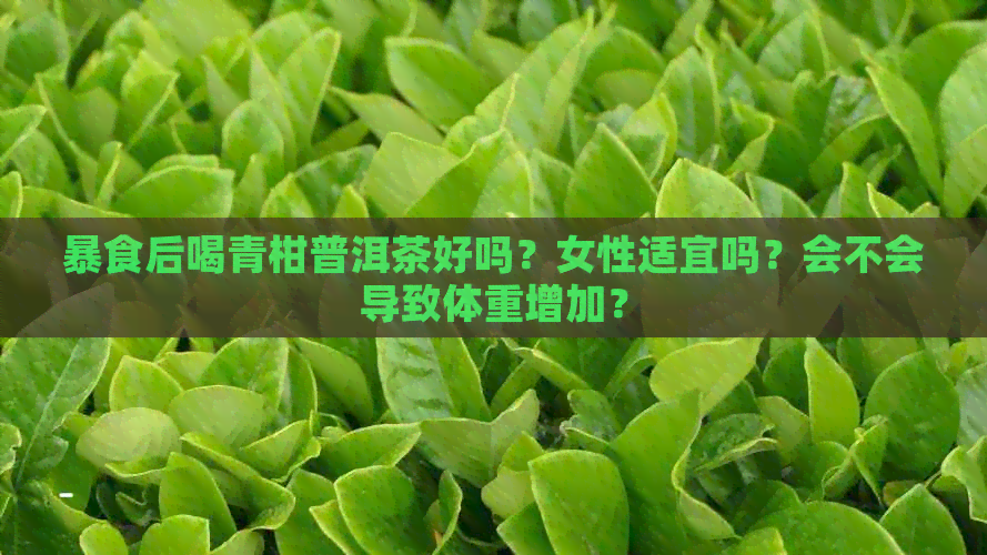 暴食后喝青柑普洱茶好吗？女性适宜吗？会不会导致体重增加？