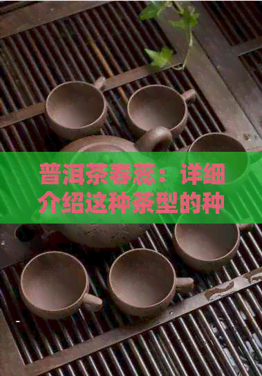 普洱茶春蕊：详细介绍这种茶型的种类、特点和品饮方法