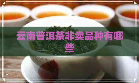 云南普洱茶非卖品种有哪些