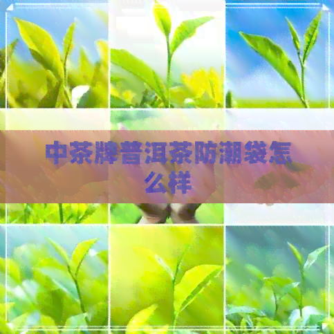 中茶牌普洱茶防潮袋怎么样