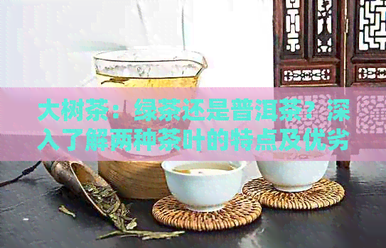 大树茶：绿茶还是普洱茶？深入了解两种茶叶的特点及优劣