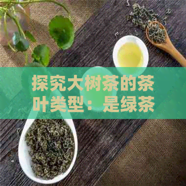 探究大树茶的茶叶类型：是绿茶还是普洱茶，又具有哪些独特特点？