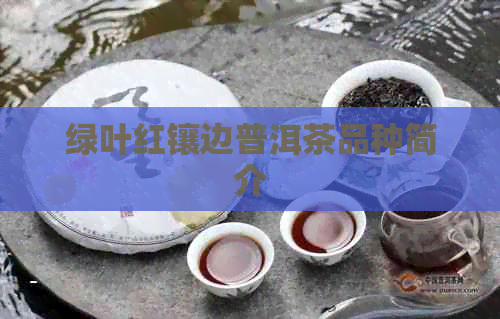 绿叶红镶边普洱茶品种简介