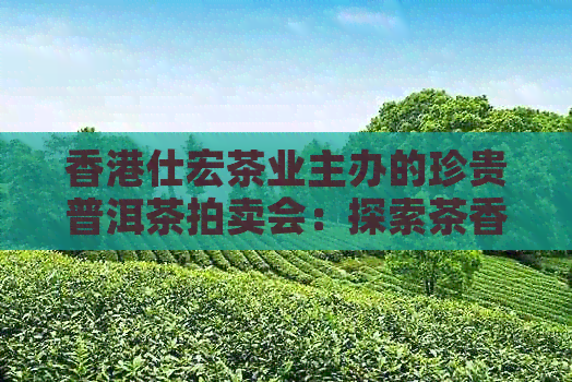 仕宏茶业主办的珍贵普洱茶拍卖会：探索茶香中的文化魅力