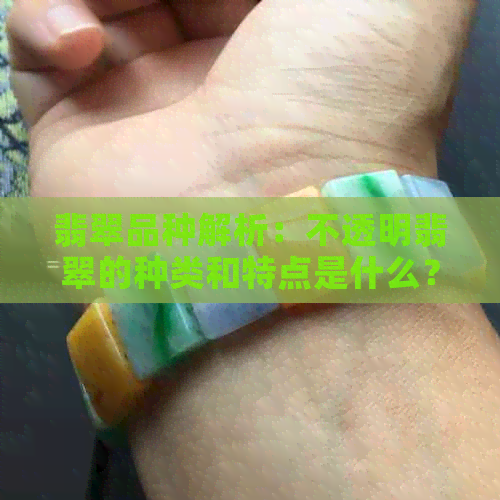 翡翠品种解析：不透明翡翠的种类和特点是什么？