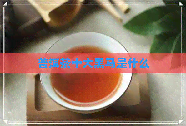 普洱茶十大黑马是什么