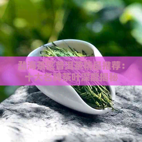 勐海茶区普洱茶精品推荐：十大名牌茶叶深度揭秘