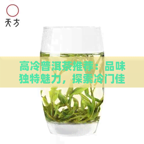 高冷普洱茶推荐：品味独特魅力，探索冷门佳品