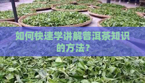 如何快速学讲解普洱茶知识的方法？