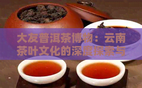 大友普洱茶博物：云南茶叶文化的深度探索与理解