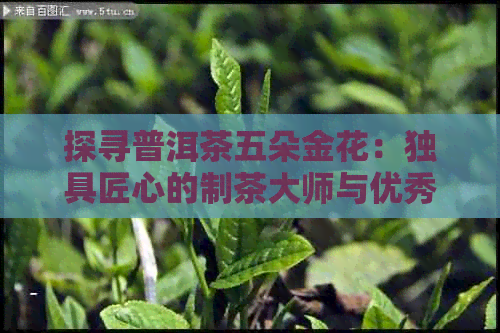 探寻普洱茶五朵金花：独具匠心的制茶大师与优秀茶厂