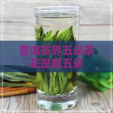 普洱茶界五朵茶花是哪五朵