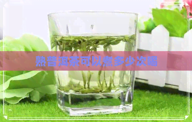 熟普洱茶可以煮多少次喝