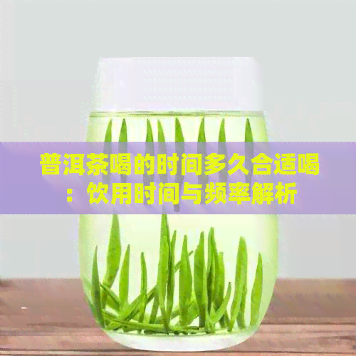 普洱茶喝的时间多久合适喝：饮用时间与频率解析