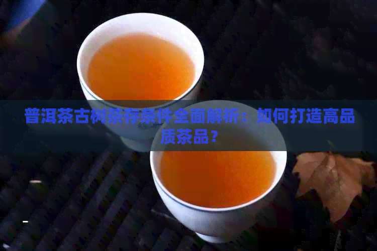 普洱茶古树茶存条件全面解析：如何打造高品质茶品？