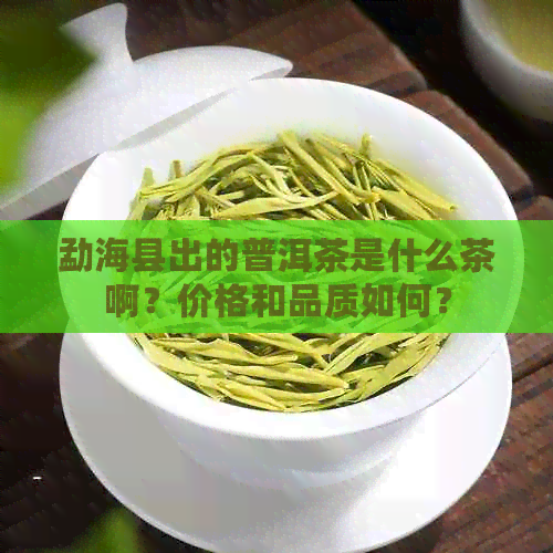 勐海县出的普洱茶是什么茶啊？价格和品质如何？