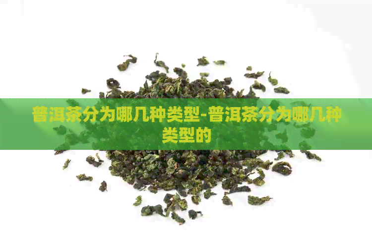 普洱茶分为哪几种类型-普洱茶分为哪几种类型的