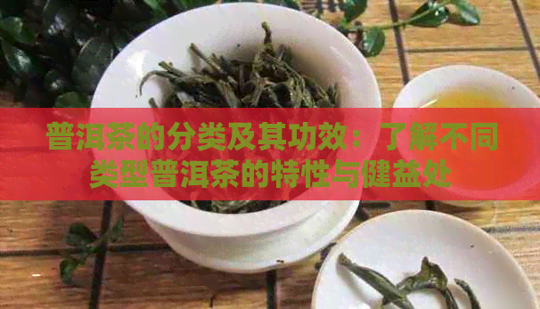 普洱茶的分类及其功效：了解不同类型普洱茶的特性与健益处