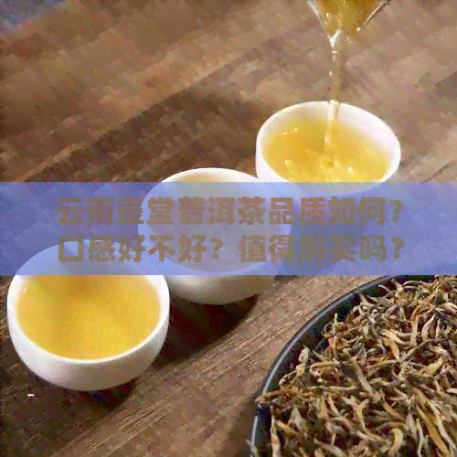 云南壶堂普洱茶品质如何？口感好不好？值得购买吗？