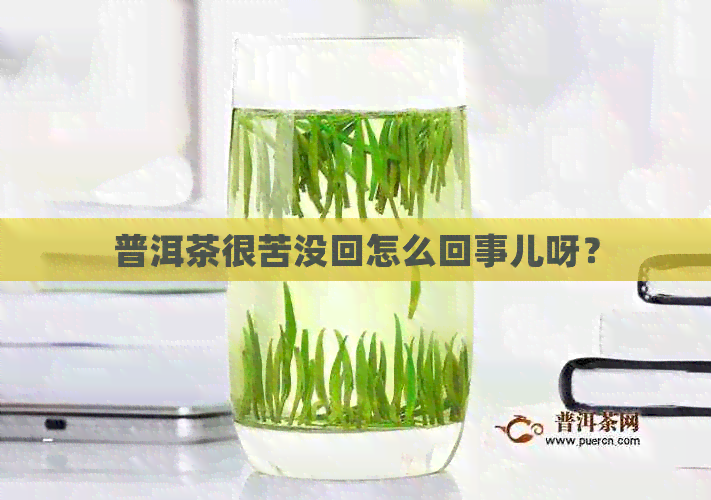 普洱茶很苦没回怎么回事儿呀？