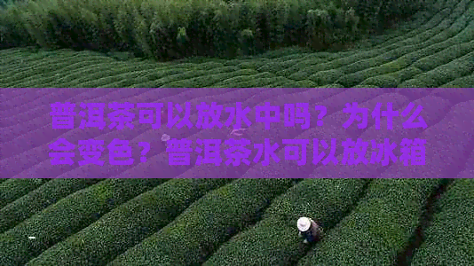 普洱茶可以放水中吗？为什么会变色？普洱茶水可以放冰箱吗？