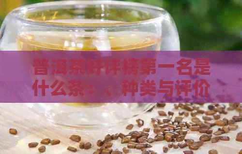 普洱茶好评榜之一名是什么茶：、种类与评价指南