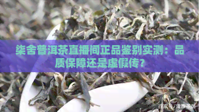 柒舍普洱茶直播间正品鉴别实测：品质保障还是虚假传？