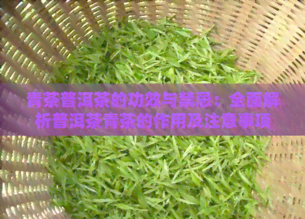 青茶普洱茶的功效与禁忌：全面解析普洱茶青茶的作用及注意事项