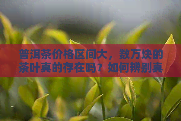 普洱茶价格区间大，数万块的茶叶真的存在吗？如何辨别真伪与购买建议？