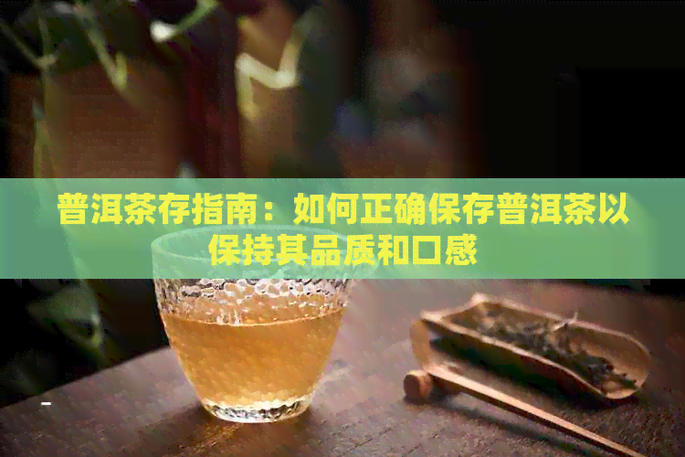 普洱茶存指南：如何正确保存普洱茶以保持其品质和口感