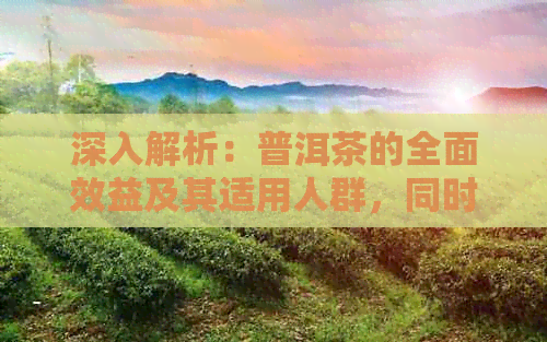 深入解析：普洱茶的全面效益及其适用人群，同时探讨潜在的饮用禁忌