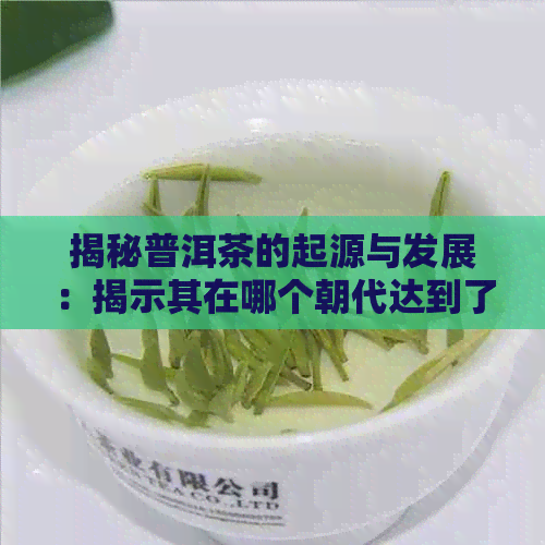 揭秘普洱茶的起源与发展：揭示其在哪个朝代达到了发轫时期