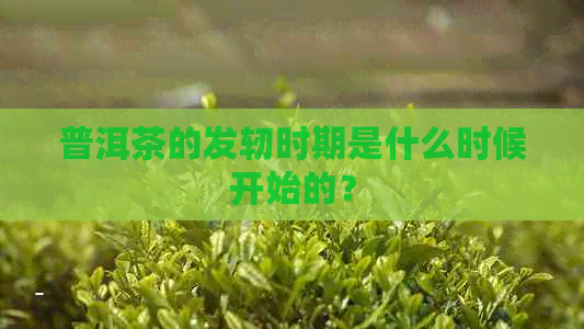 普洱茶的发轫时期是什么时候开始的？