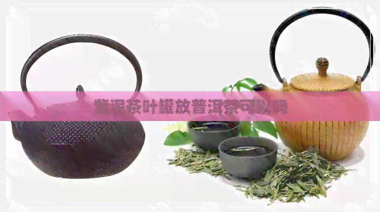 紫泥茶叶罐放普洱茶可以吗