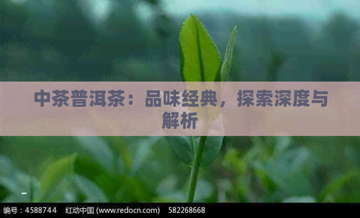 中茶普洱茶：品味经典，探索深度与解析