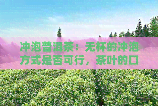 冲泡普洱茶：无杯的冲泡方式是否可行，茶叶的口感和风味会受影响吗？