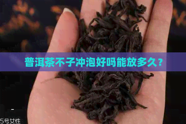 普洱茶不子冲泡好吗能放多久？